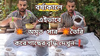 বর্ষাকালে গাছের অমৃত সার কি করে তৈরী করবেন ❓ || #Evergreen friends...