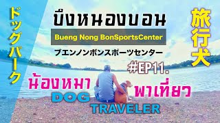 EP11 Dogs take a trip to Bueng Nong Bon Dog Park