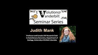 Evolution Seminar Dr. Judith Mank