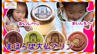 めっちゃなめらか～！まほろば大仏プリン本舗☆大仏プリン【7216つうしん】