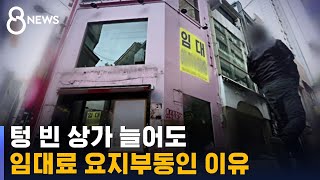 빈 상가 늘어도 임대료 '그대로'…\