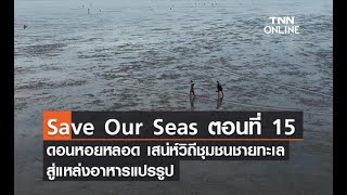 Save Our Seas ตอนที่ 15 ดอนหอยหลอด เสน่ห์วิถีชุมชนชายทะเลสู่แหล่งอาหารแปรรูป