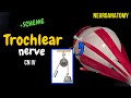 CN 4: Trochlear Nerve (EASY Scheme + Animation)