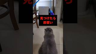 これオススメ‼️【サイベリアン・キキのKIKICHANNEL】 #サイベリアン #猫 #shorts