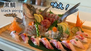 黒鯛(チヌ)のさばき方~姿造りとお寿司になるまで~How to make black porgy sushi