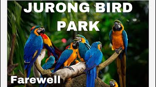 A farewell to Jurong Bird Park | Teraysa D | Singapore