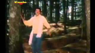 Pyar Kiya Hai Pyar Karenge Title song (1986) Shabbir Kumar and Kavita krishnamurthy