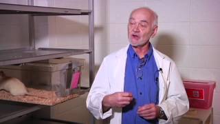 Jaak Panksepp - in the lab of happy rats