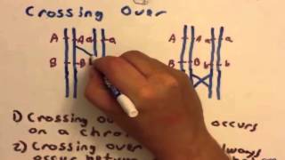 Gene Linkage Intro