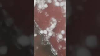 Boht Zyada Olay Parhy 😱 #viral #trending #youtube #snowfall #shorts