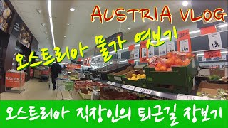 [오스트리아일상][Austria vlog]오스트리아 직장인의 퇴근길 장보기/ 오스트리아 물가 엿보기 [오스트리아 장보기 브이로그]