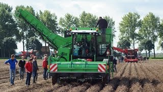 Aardappeldemodag in Westmaas mooi en drukbezochte dag  Trekkerweb