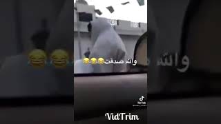 عزوزة في ليبيا خزي على البلاد ال 💊 ( خرط ) 😂