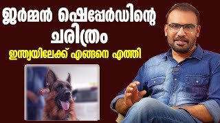 ജർമ്മൻ ഷെപ്പേർഡിന്റെ ചരിത്രം.. ഇന്ത്യയിലേക്ക് എങ്ങനെ എത്തി  | German Shepherd | Shakthi Kumar | GSD