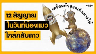 12 สัญญาณสำคัญ ในวันที่น้องแมวใกล้กลับดาว