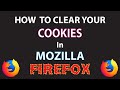 Mozilla Firefox: How To Clear The Browsers Cookies | PC |