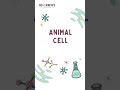 Animal Cell Diagram | Biology | #ytshorts #shorts