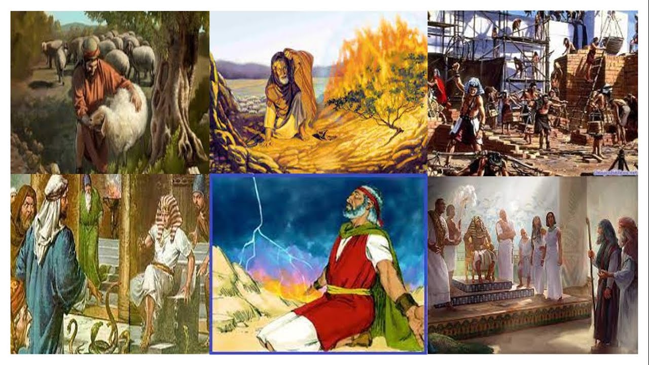 Exodo Capitulo 3 Youtube