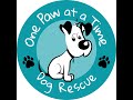 One Paw At A time dog  Rescue