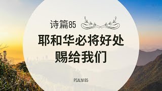 【读圣经】诗篇85篇 — 耶和华必将好处赐给我们｜大卫的帐幕 #祢的话 #祷告