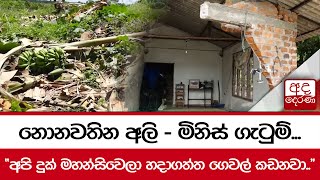 නොනවතින අලි - මිනිස් ගැටුම් \