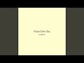 Pulse Echo Sky