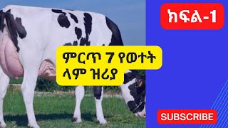 መግዛት ያለባችሁ ምርጥ የወተት ላም ዝሪያ | The 7 Best Dairy Cow Breeds  #Dr. Erdachew Kassa#_#Subscribe#