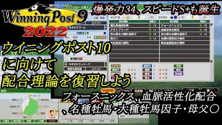 【ウイニングポスト9 2022】ウイニングポスト10に向けて！爆発力34の配合で配合理論をおさらい！【お手軽配合】