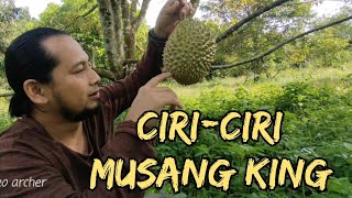 tips cara mengenal buah dan pokok durian musang king