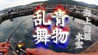 海上釣り堀【水宝】青物　高活性で爆釣！？