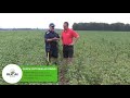 soybean school scn resistance