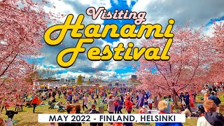 Helsinki Walk: 花見 Hanami Festival in Roihuvuori, May 15th 2022, Finland [4K]