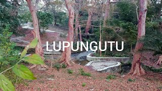 Lupungutu | Picnic Spot Near Chaibasa | B Roll | Into the wild |Chaibasa vlog