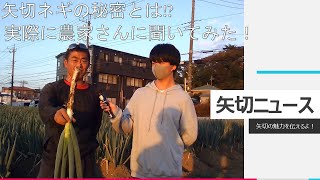 千葉県松戸市立矢切小学校の子どもたちが作った矢切地区PR動画②「矢切ニュース」