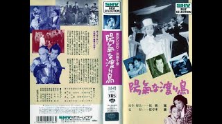 陽気な渡り鳥 　　　　　　佐々木康監督　　　　美空ひばり　斎藤達雄　淡島千景　1952年製作