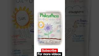 photosynthesis | what is photosynthesis| #ytshortsindia #viralvideo #ytshorts