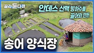 안데스 산맥의 빙하 녹은 물로 만든 '송어 양식장' | 감탄이 절로 나오는 환상적인 풍경 | 산에 어떻게 송어 양식장이 있을까? | 세계테마기행 | #골라듄다큐