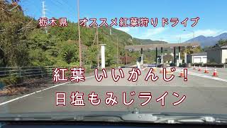 日光～塩原　日塩もみじライン2022年紅葉情報