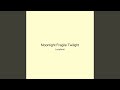Moonlight Fragile Twilight