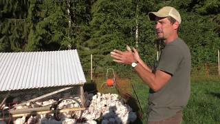 Moving €25,000 of PASTURED POULTRY in 20 minutes