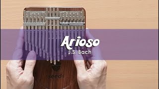 Arioso (J.S. Bach) | Seeds 34 Keys Chromatic Kalimba Cover With Number \u0026 Letter Notations