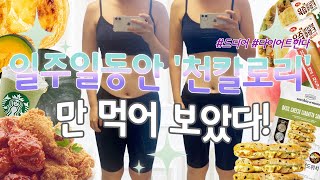 SUBㅣ일주일동안 1000kcal 씩만 먹고 사람이 살수있나요? 제가 해보고 다이어트 브이로그로 쪄왔거든요 천칼로리 다이어트 난 못살앙~ 만칼로리 챌린지 대신 천칼로리 챌린지 찍기