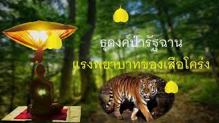 ๑๑๐.แรงพยาบาทของเสือโคร่ง ธุดงค์ป่ารัฐฉาน