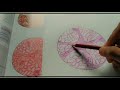 how to make mucous salivary gland with h and e pencil tutorial