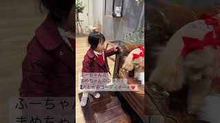 岡山市北区　結婚式場　犬OK  子供OK#shorts