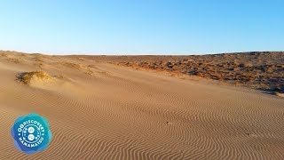 浜松市広報動画「REDISCOVERY HAMAMATSU（魅力再発見　浜松）」中田島砂丘