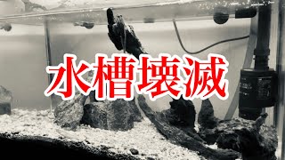 渓流魚水槽が壊滅しました