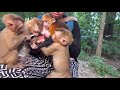 Rusty try to hug KT don't want milk like others, He f-e-a-r-s even little monkeys Roy Zuri & Jovi