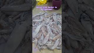 மாட்டுப் பொங்கலில் களைகட்டிய அதிரை மீன் மார்க்கெட் #short #adirampattinam #fish #pongal