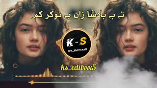 تا به بادشاه ځان به نوکر کړمه..!   Pashto New song 🎻💜